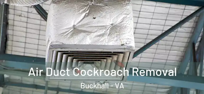  Air Duct Cockroach Removal Buckhall - VA