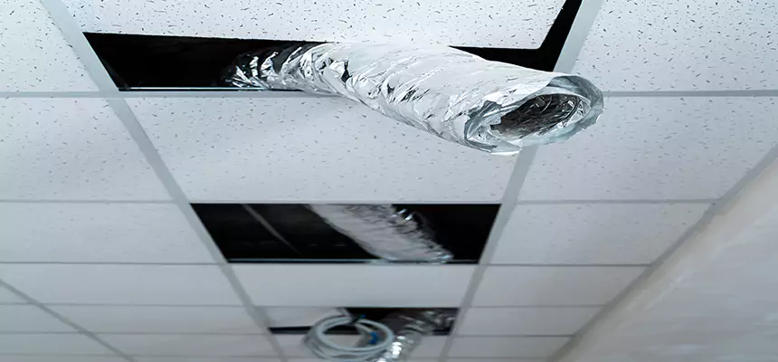 Our Air Duct Pet Hair Removal Services in Buckhall, VA