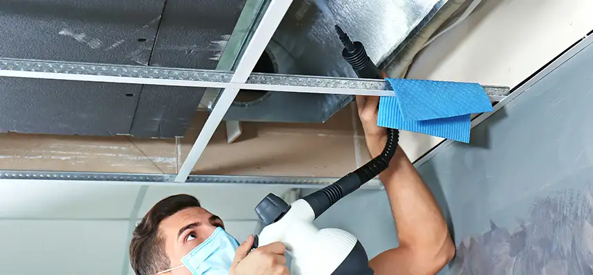Our Air Duct Rodent Removal Services in Buckhall, VA