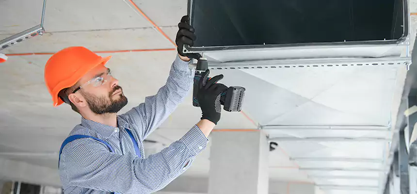 Roof Cap & Exterior Hood Lint Buildup Removal – Buckhall