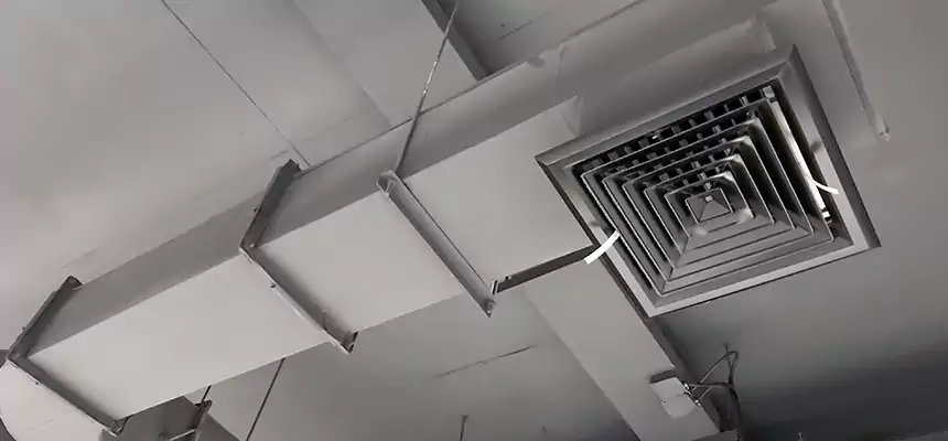 Our Pest Removal From Ducts Services in Buckhall, VA