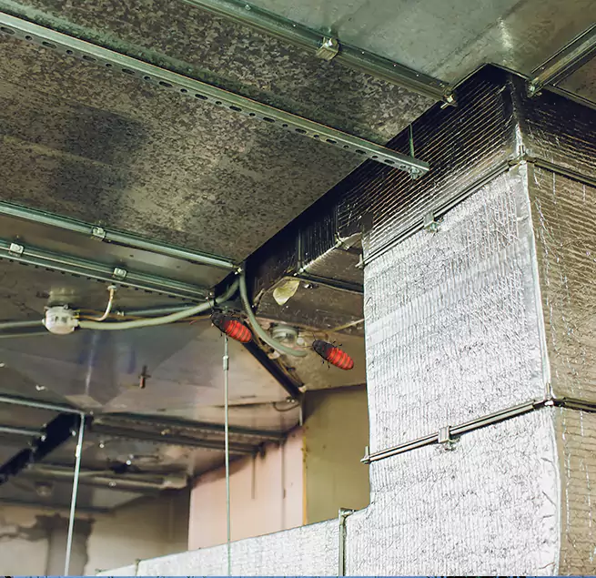 Why Homeowners & Businesses Trust Us in Buckhall, VA?