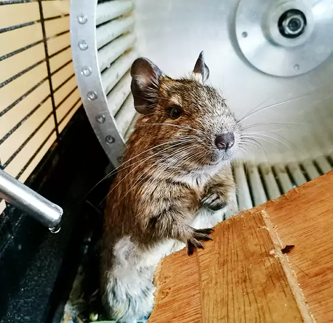 Why Homeowners & Businesses Trust Us Buckhall, VA